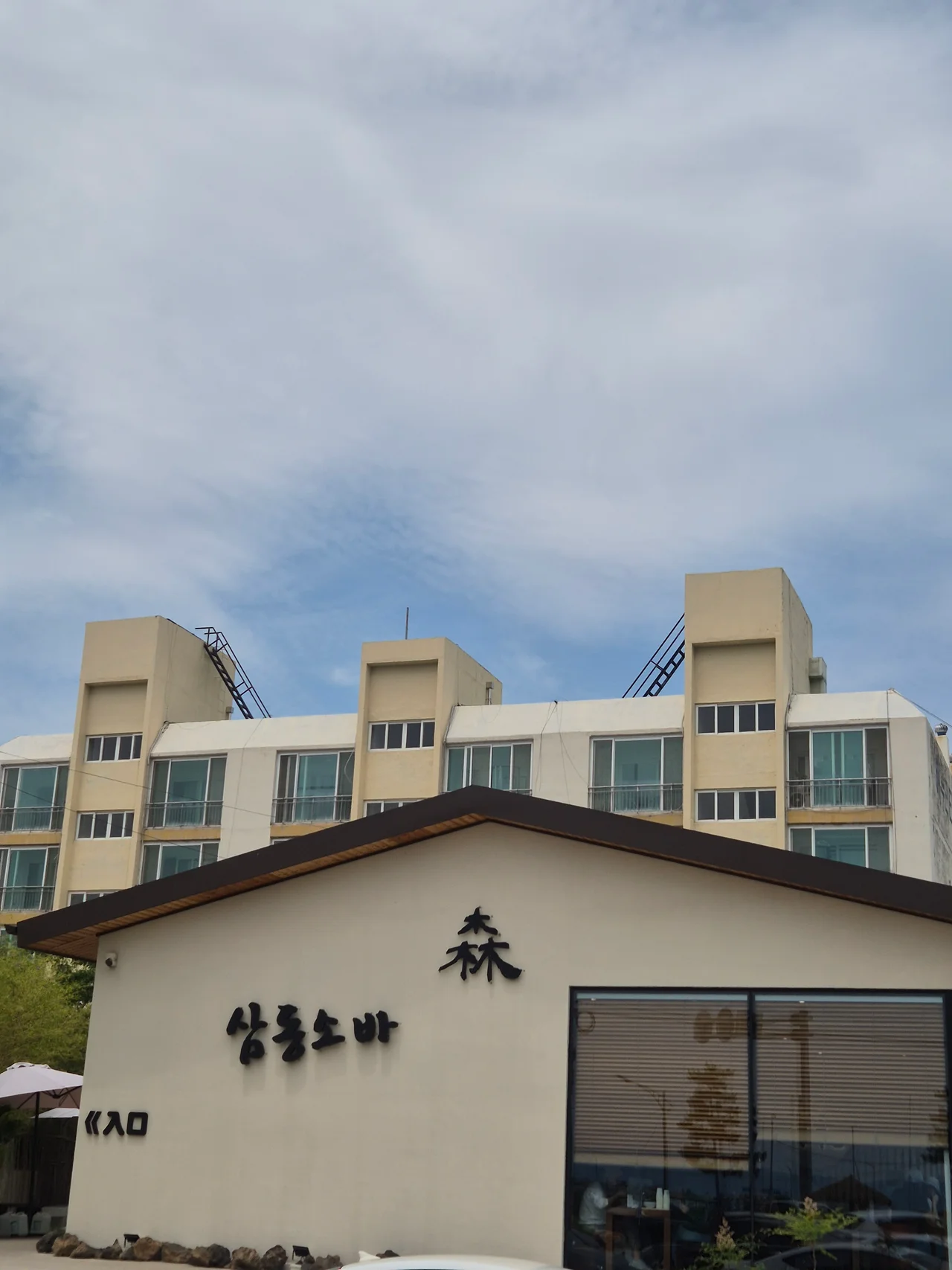 포항 여남 맛집 삼동소바 바다 앞 인생 소바와 돈가스