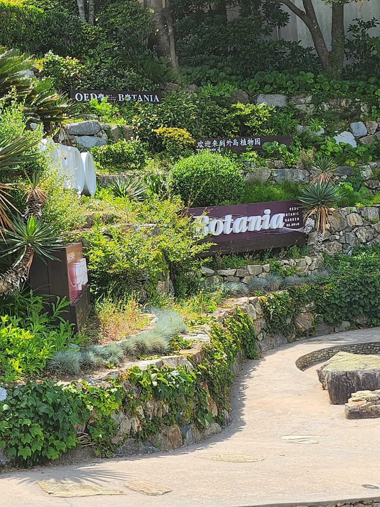 돌담 경사면에 세워진 OEDO BOTANIA 영문 표지판과 아열대 식물들