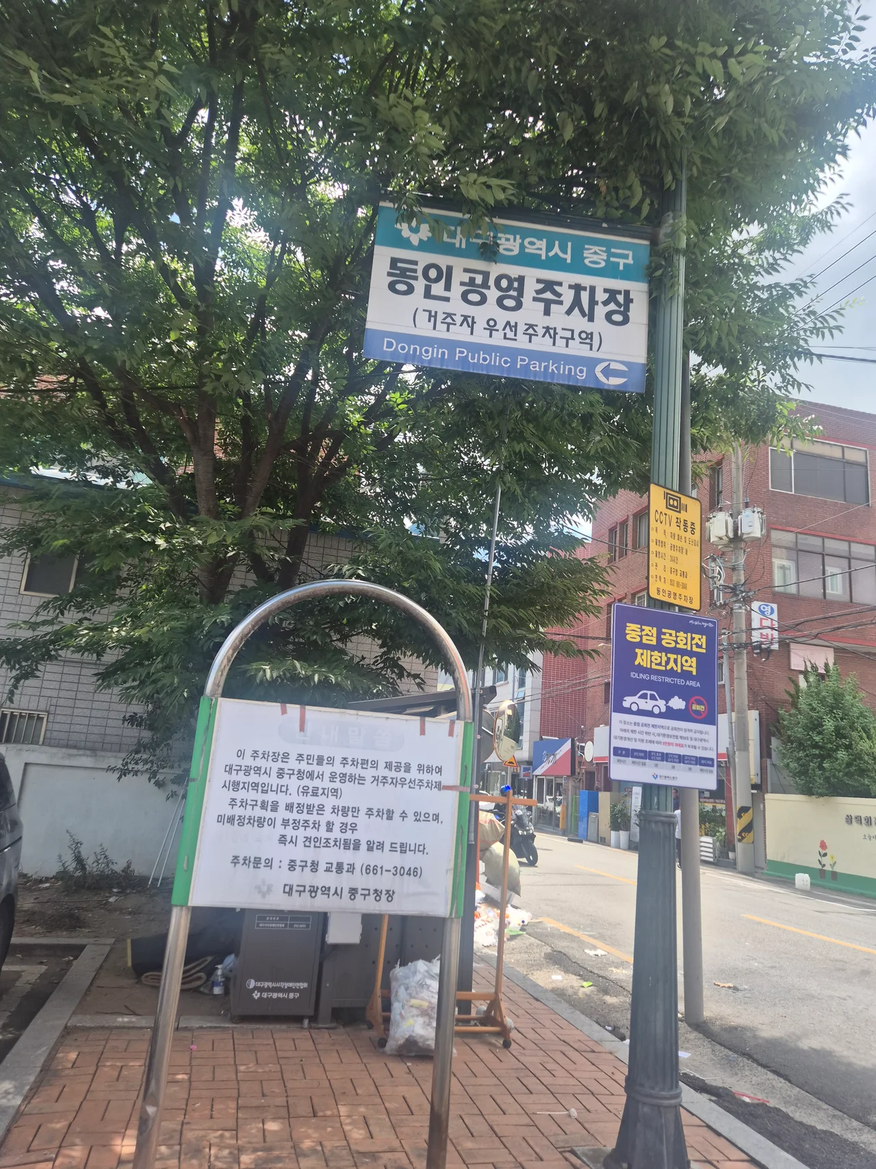 가로수 옆에 세워진 파란색 동인공영주차장 알림 표지판