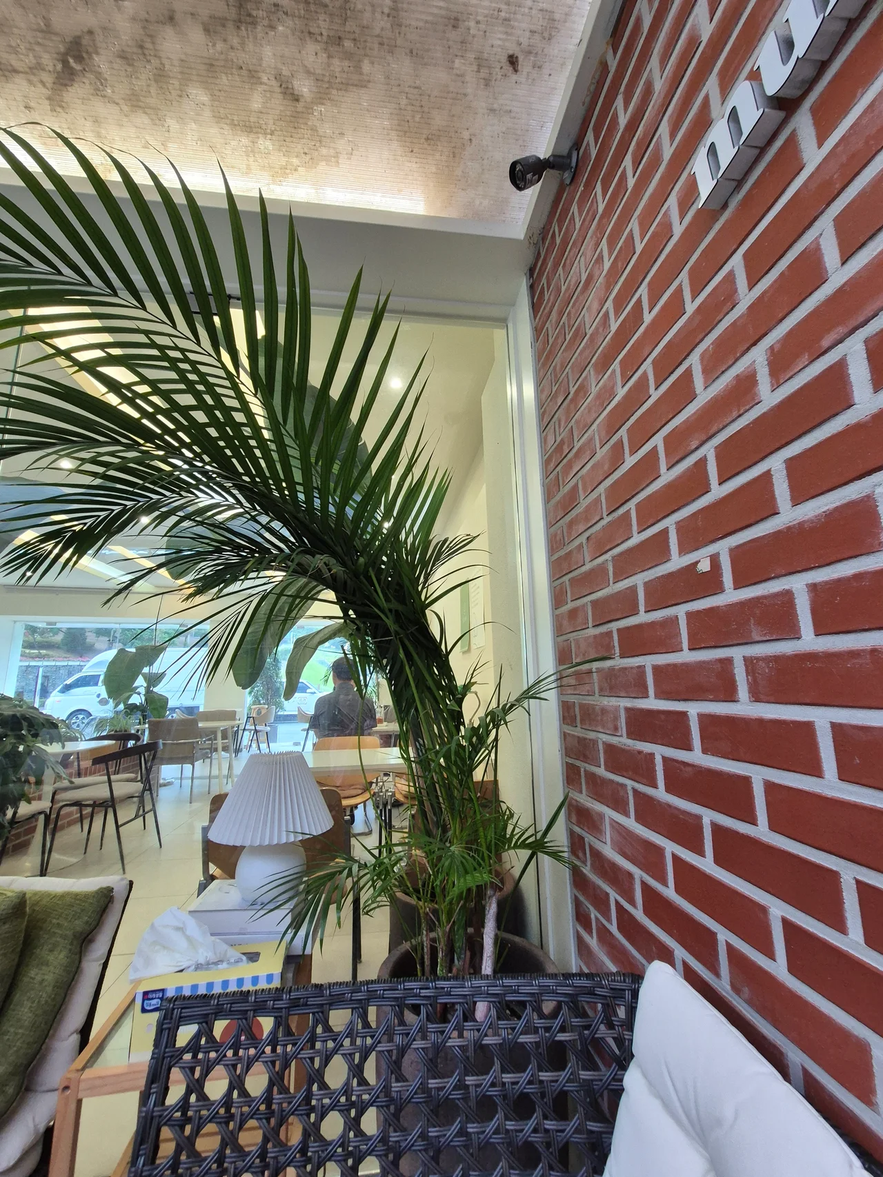 벽돌 벽 옆에 놓인 아레카야자 식물과 화이트 스탠드 조명