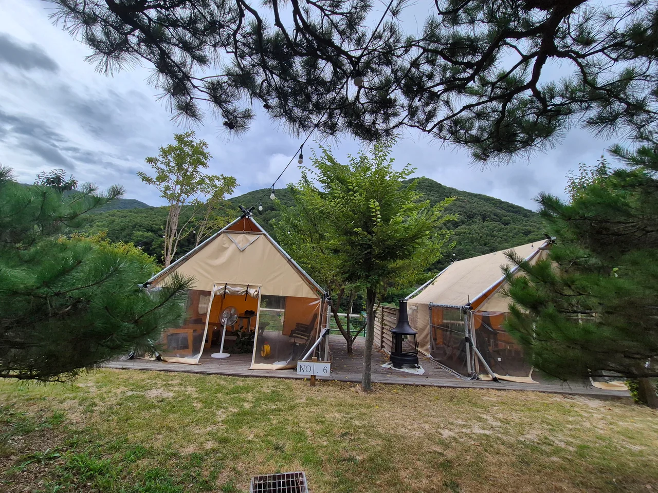 소나무 숲 사이에 설치된 세련된 원목 프레임의 야외 글램핑 텐트
